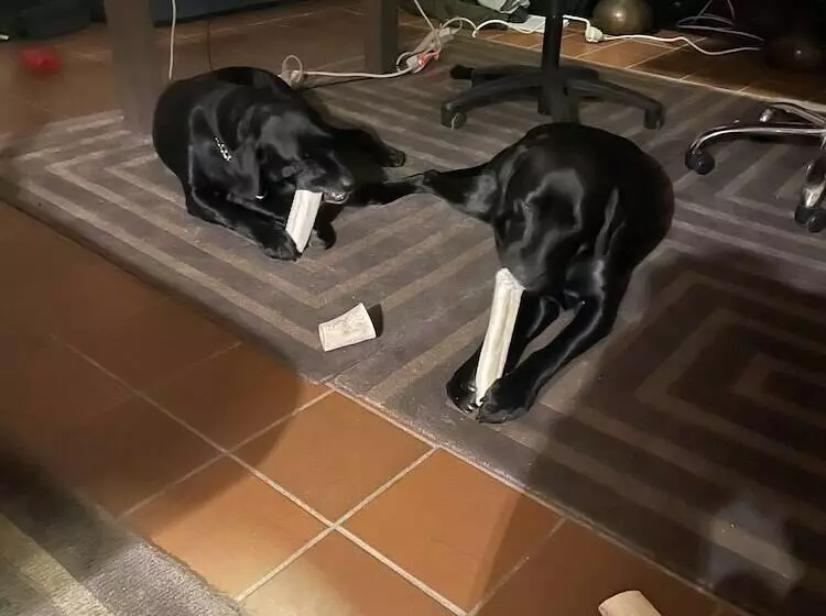 Aamiaismajoitus (B&B) Ankis Bed And Brekfast, Vimmerby