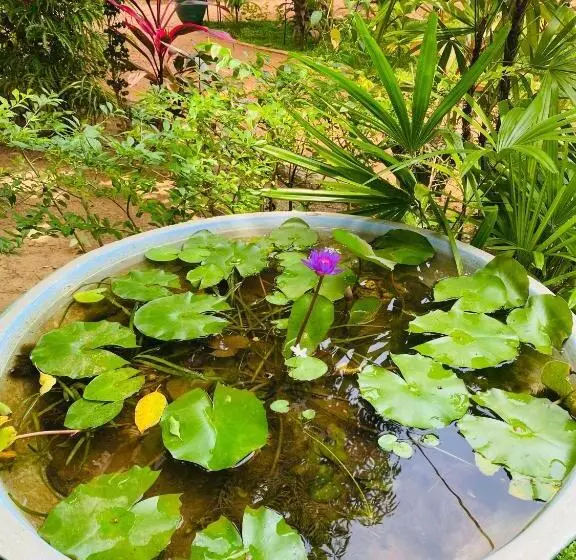 ペンション The Hutt Habarana