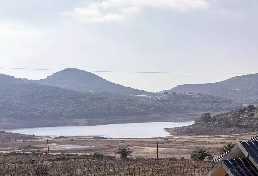 Tolstoy Un Bisikleti Otel