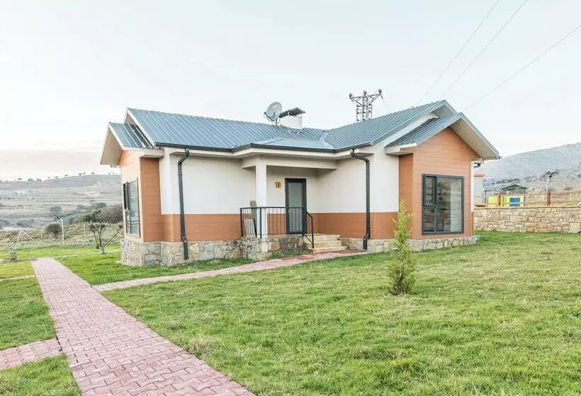 Tolstoy Un Bisikleti Otel
