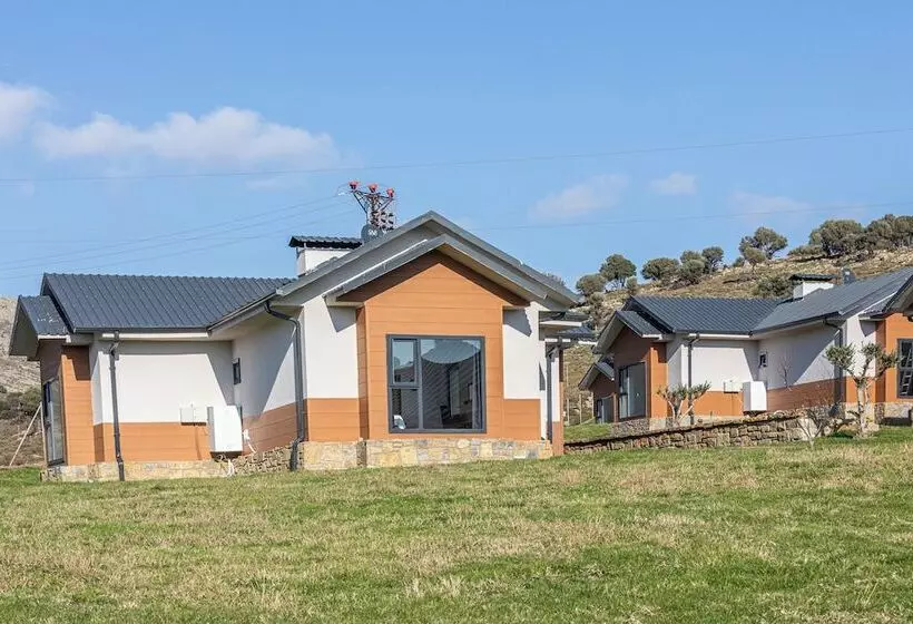 Tolstoy Un Bisikleti Otel