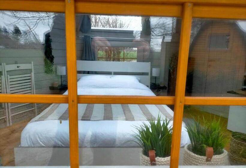 Bed and Breakfast Sterrenzicht Bb Weidszicht