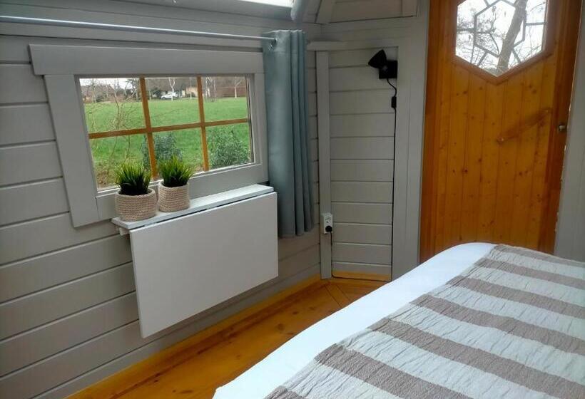 Bed and Breakfast Sterrenzicht Bb Weidszicht