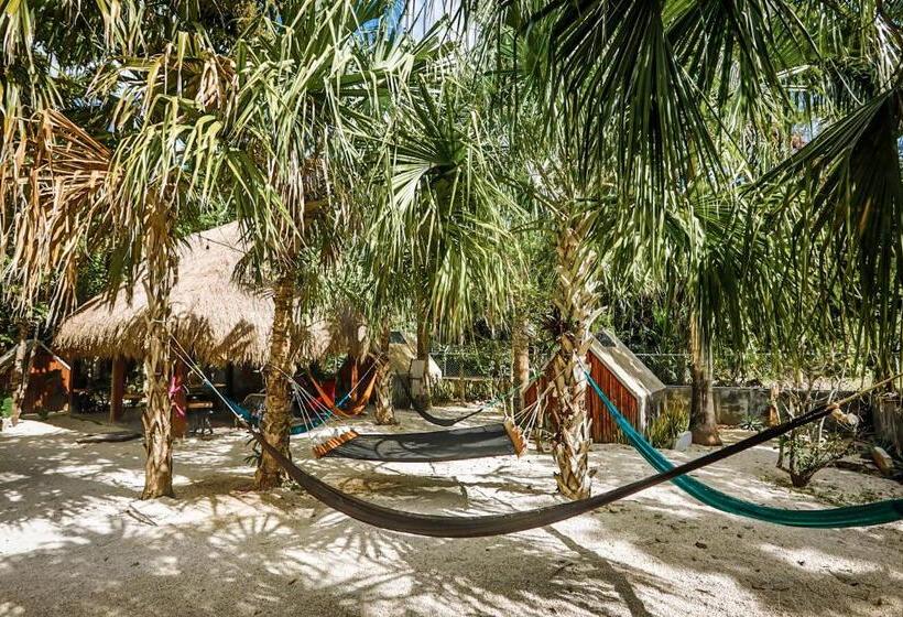 فندق Glamping Bufo Alvarius Sanctuary Bacalar