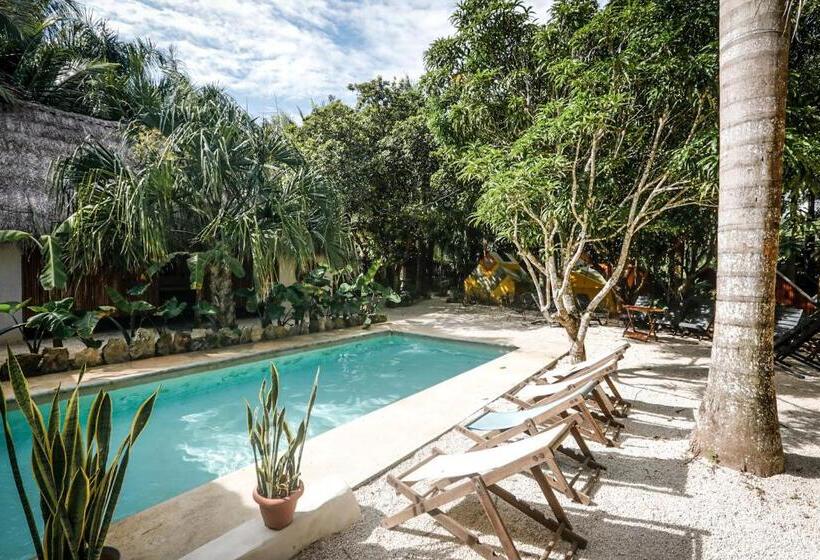 فندق Glamping Bufo Alvarius Sanctuary Bacalar