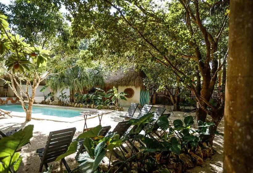 هتل Glamping Bufo Alvarius Sanctuary Bacalar
