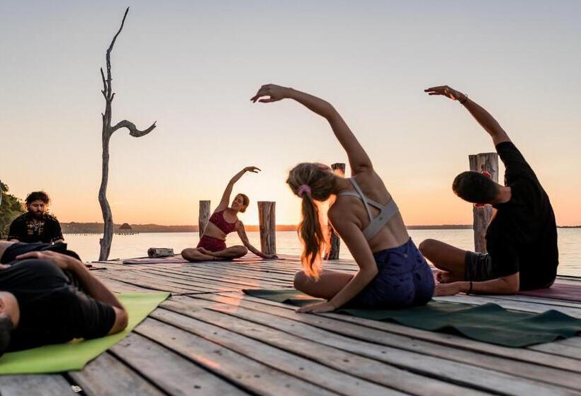 فندق Glamping Bufo Alvarius Sanctuary Bacalar