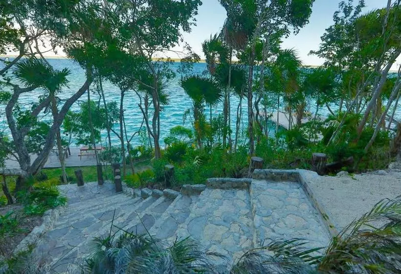 هتل Glamping Bufo Alvarius Sanctuary Bacalar