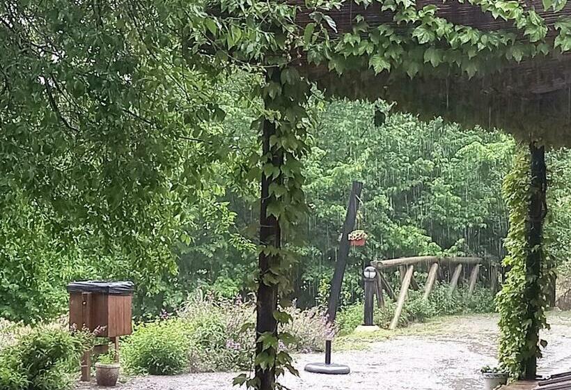 Отель Molino De Abajo Bullas