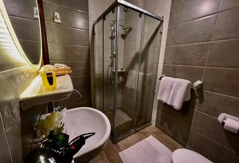 تختخواب و صبحانه New Museum Guest House, Pyramids View