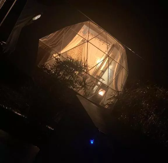 Aamiaismajoitus (B&B) Time Stops Here At Home