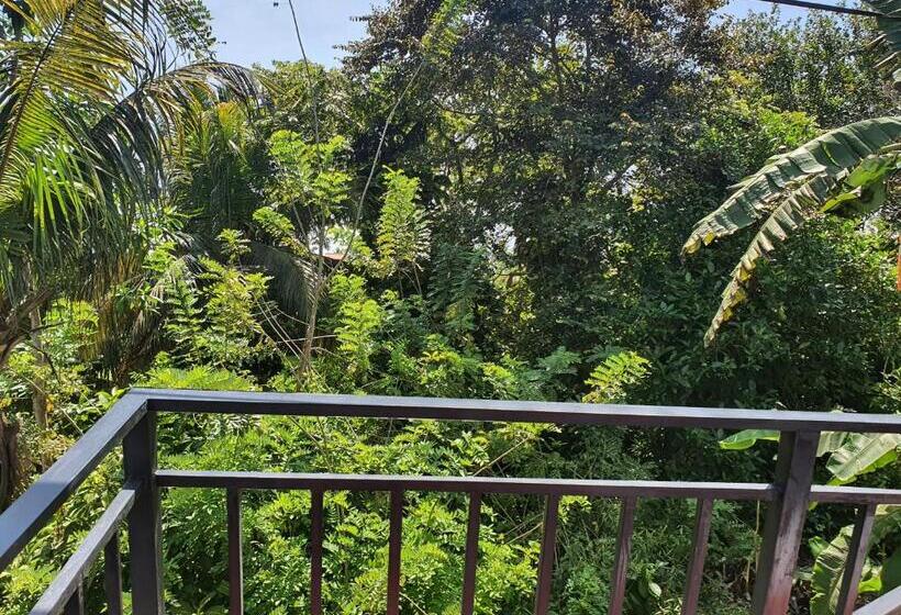 هتل Allen Lilly Ahangama