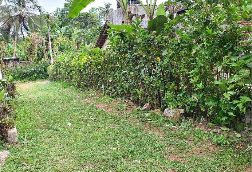 هتل Allen Lilly Ahangama