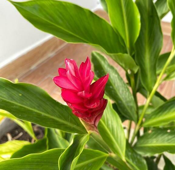 هتل Htl Campestre Aguas Vivas