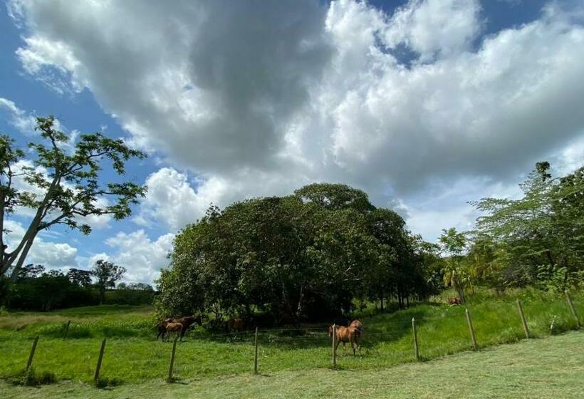 هتل Htl Campestre Aguas Vivas