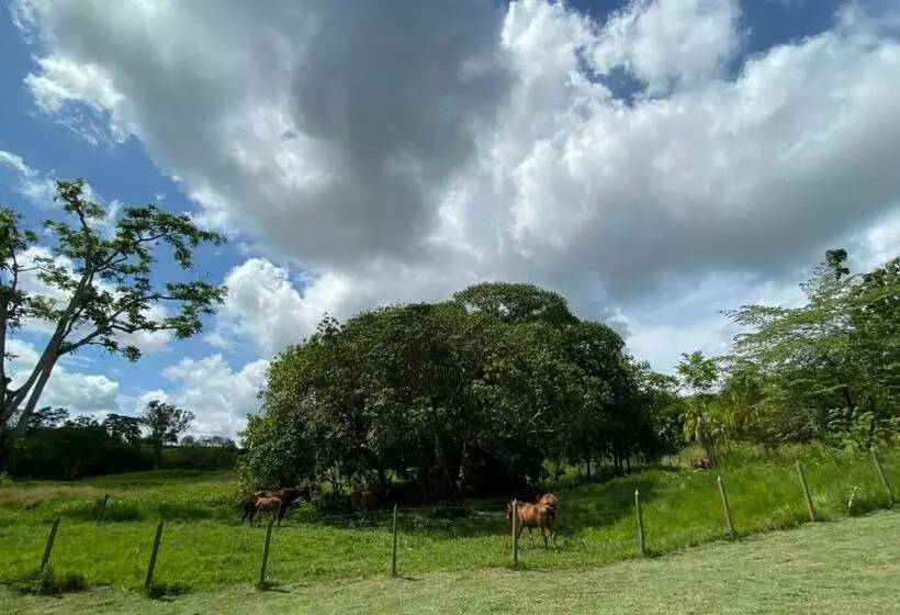 ホテル Htl Campestre Aguas Vivas