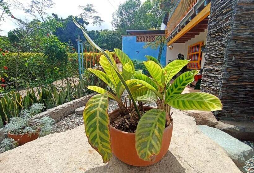 Pension Casa De Las Rocas Hostel