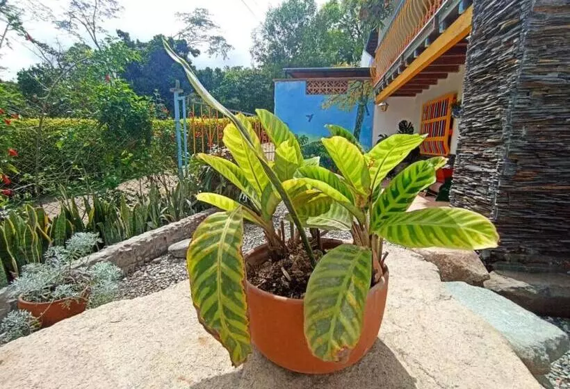 ペンション Casa De Las Rocas Hostel