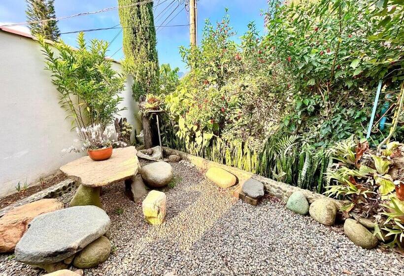 Pension Casa De Las Rocas Hostel