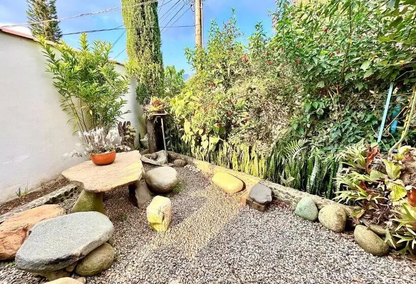 ペンション Casa De Las Rocas Hostel