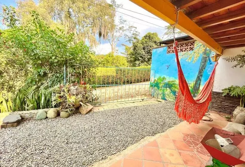 ペンション Casa De Las Rocas Hostel