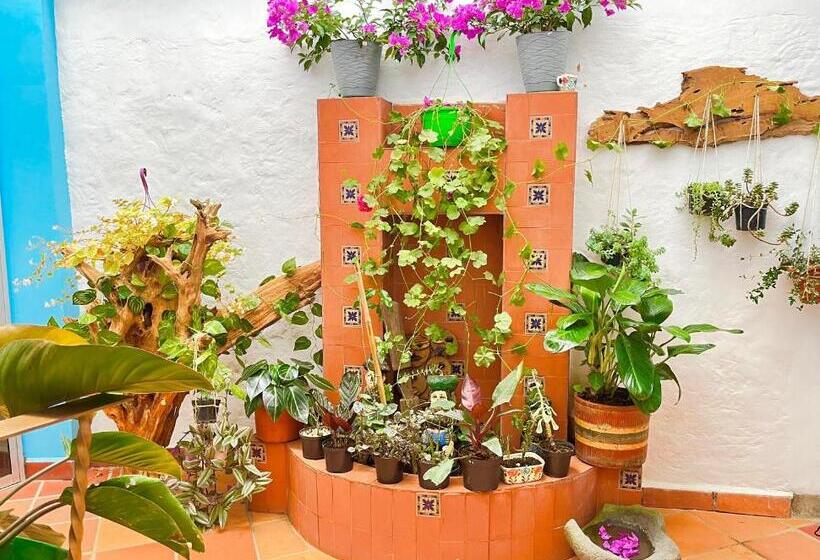 Pension Casa De Las Rocas Hostel