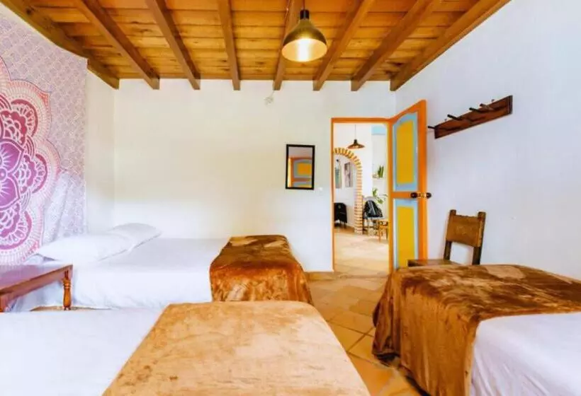 ペンション Casa De Las Rocas Hostel