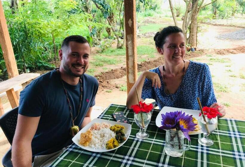 リゾートホテル The Wild Culture