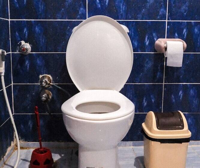 Al Manara Hostel Siwa Oasis