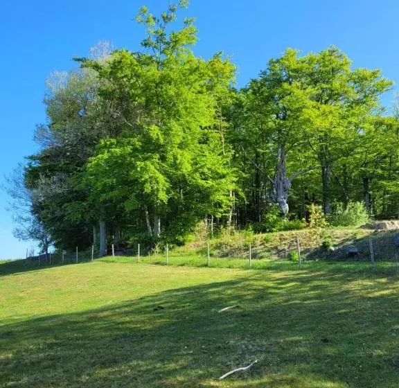 Retkeilymaja Bokskogens Guesthouse