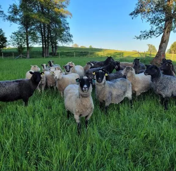 Retkeilymaja Bokskogens Guesthouse