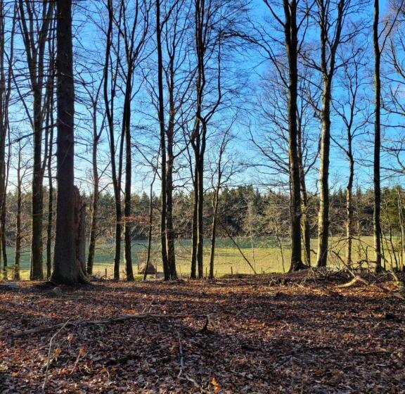 הוסטל Bokskogens Guesthouse