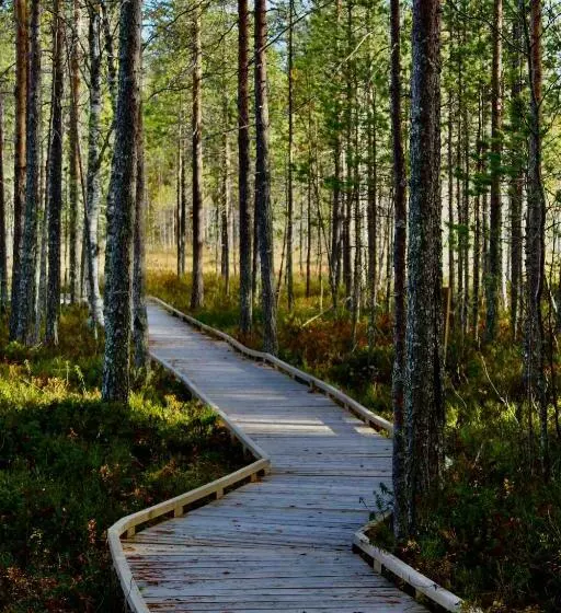 ホテル Kätkä Lake Lodge