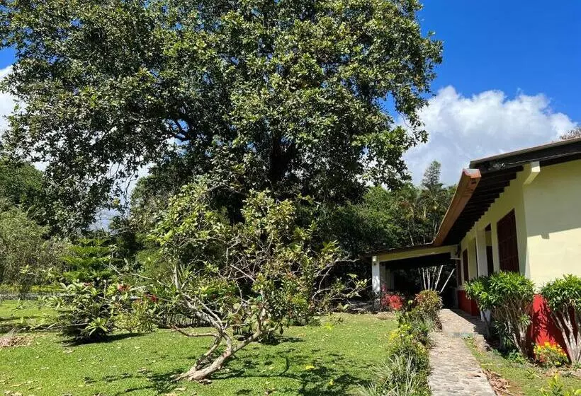 Majatalo La Casa De Los Patos