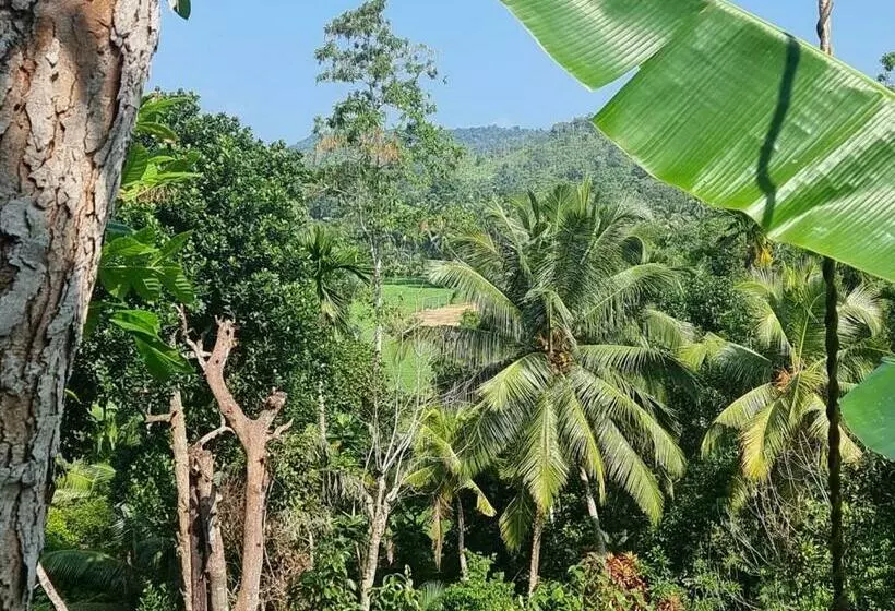 ペンション The Green Villa & Tea Plantation