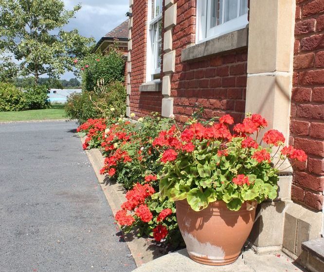 مبيت وإفطار Austons Down