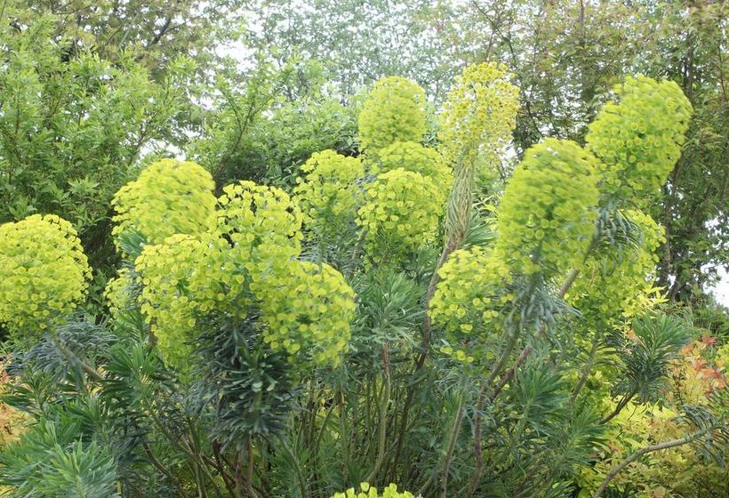 مبيت وإفطار Austons Down