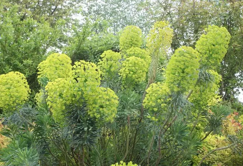 مبيت وإفطار Austons Down