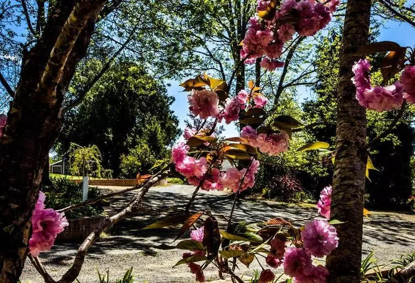 민박 Bundanoon Lodge