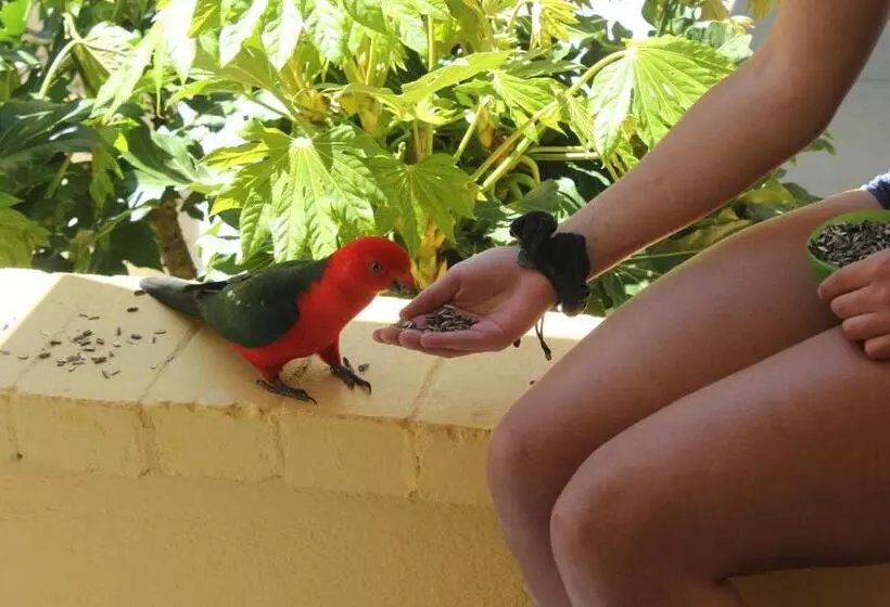 민박 Bundanoon Lodge
