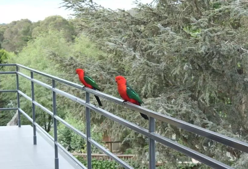 민박 Bundanoon Lodge