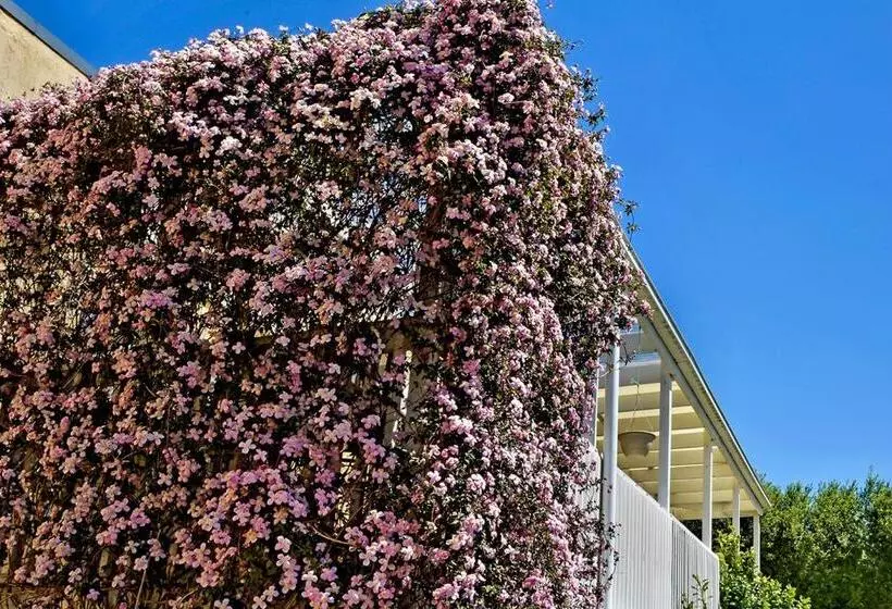 민박 Bundanoon Lodge
