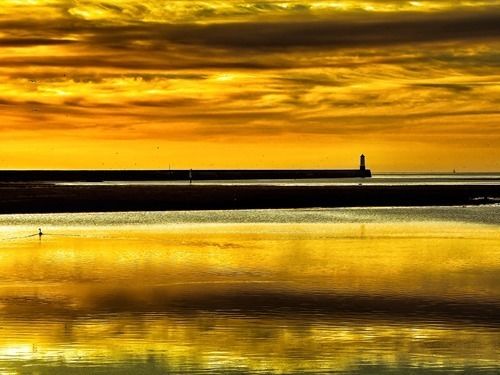 Bed and Breakfast Caroline House