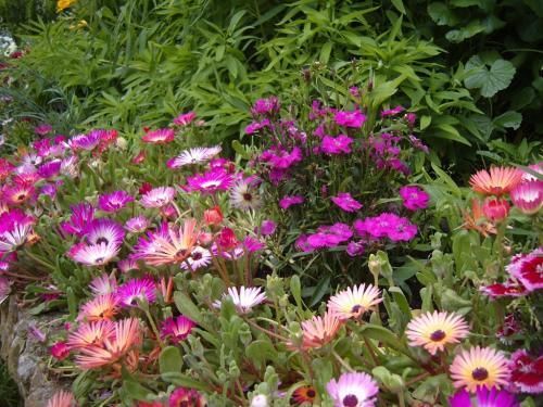 Bed and Breakfast Caroline House