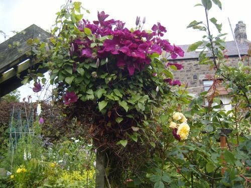 Bed and Breakfast Caroline House