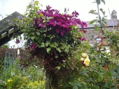 Bed and Breakfast Caroline House