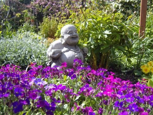 Bed and Breakfast Caroline House