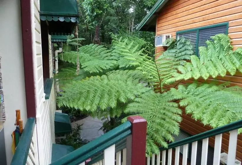 Bed and Breakfast Red Mill House In Daintree