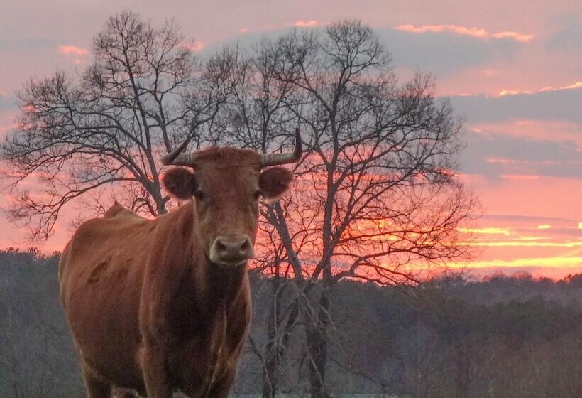 Bed and Breakfast Seventy Four Ranch