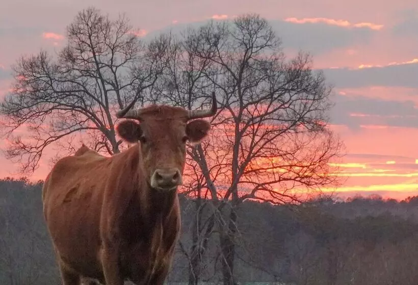 Aamiaismajoitus (B&B) Seventy Four Ranch